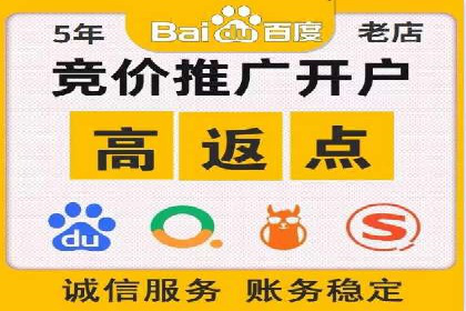 谷歌竞价广告在电商行业的运用案例